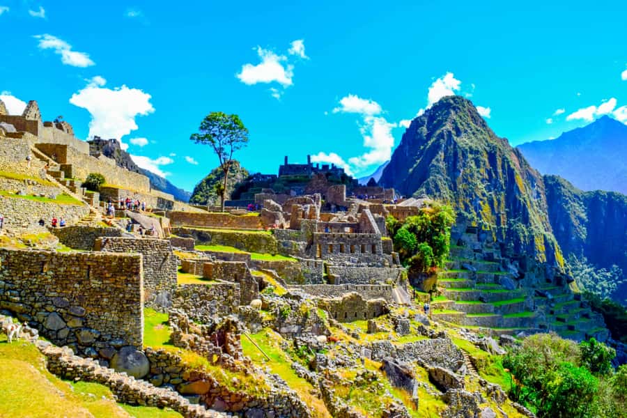 Cusco: 5-Day Salkantay Ultimate Trek to Machu Picchu - Day 5: Guided Machu Picchu plus Huayna Picchu or Machu Picchu Mountain