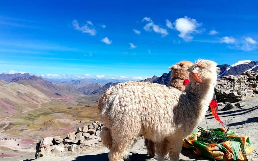 Cusco: Mountain of 7 colors Vinicunca and the Red Valley (optional) - What to bring (and what actually helps at 5,000m)