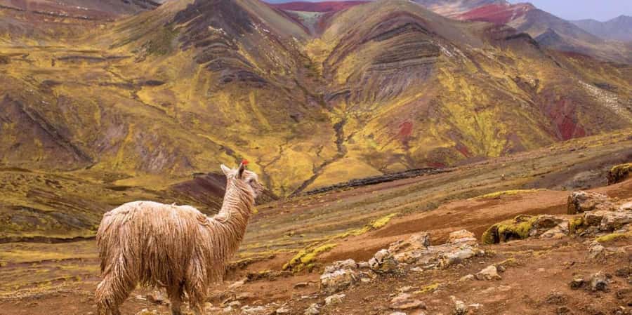 Cusco : Palcoyo - Rainbow Mountain Hidden Sister - Getting Up Early in Cusco: the 5am Pickup and the Southbound Drive