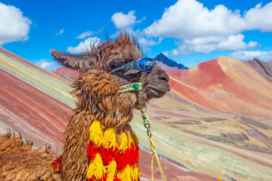Cusco : Rainbow Mountain and Red Valley Tour - Cusco 4 a.m. start: why timing is everything for Vinicunca
