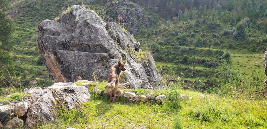 Cusco: Sacsayhuaman Guided Tour and 1-Hour Horseback Ride - Price and what $90 covers (and what doesn’t)