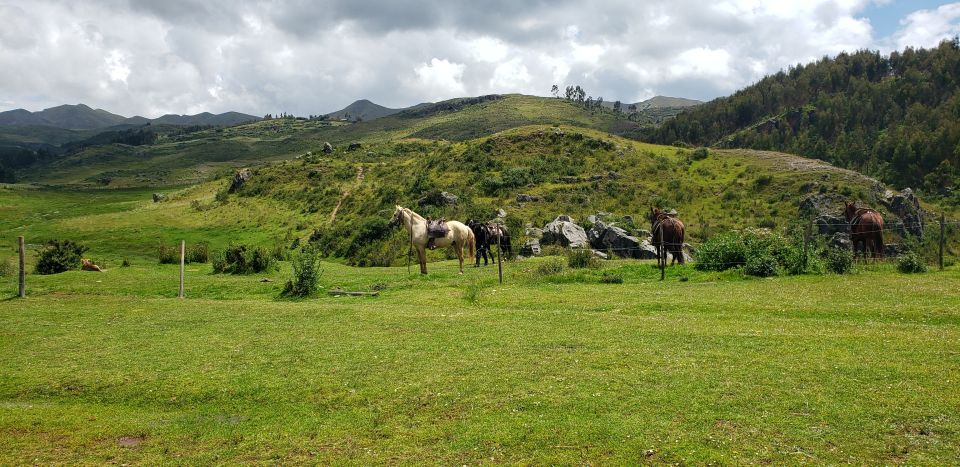 Cusco: Sacsayhuaman Guided Tour and 1-Hour Horseback Ride - Who this tour fits best (and who should skip it)