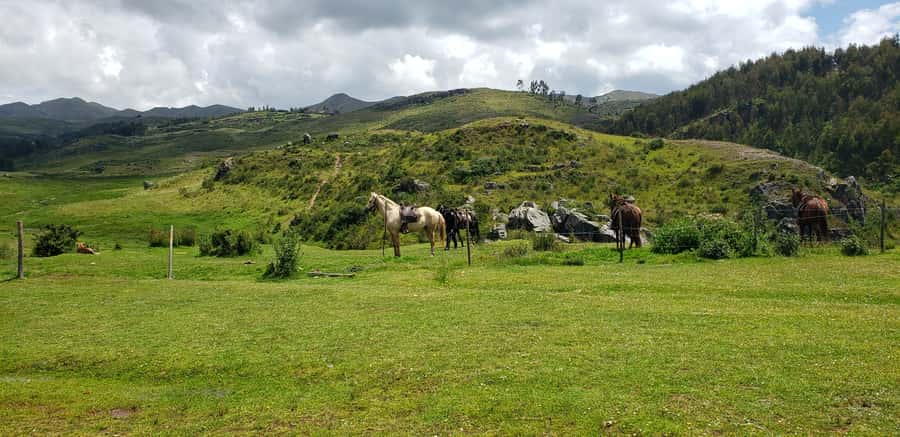 Cusco: Sacsayhuaman Guided Tour and 1-Hour Horseback Ride - Should you book this Cusco Sacsayhuaman + horseback combo?