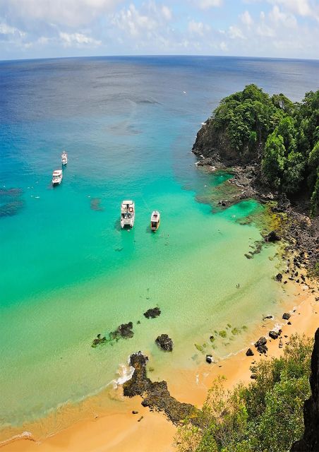 Discover Noronha: 7-Hour Ilhatour Adventure - Your guide and the kind of stops you’ll make