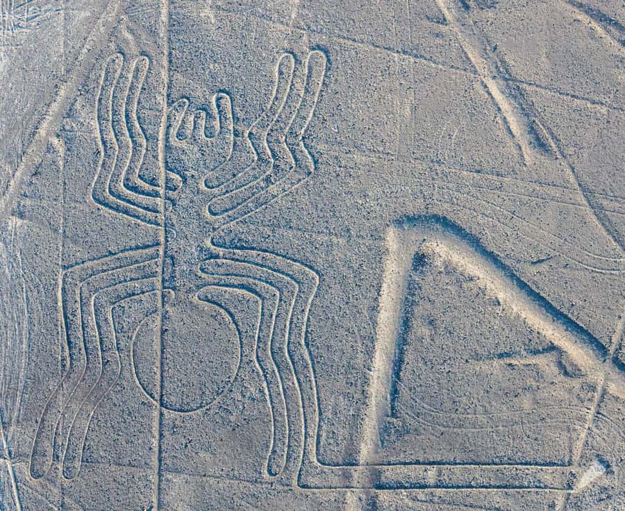Discover Paracas, Ica and Nasca in a 2 days and 1 night trip - FAQ