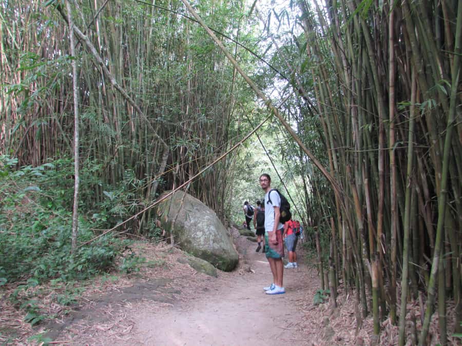 Discover Pedra do Telégrafo: Scenic Hike with Expert Guide - Viewpoints on the climb: Pontal do Recreio, Barra da Tijuca, and Pedra da Gávea