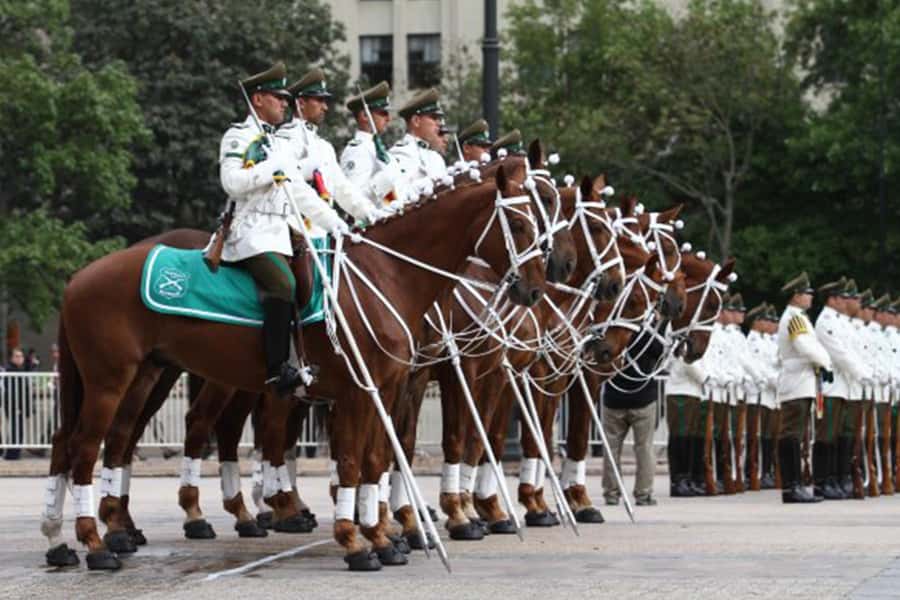 Discover Santiago, where modernity merges with history - Forestal Park and the art museum connection