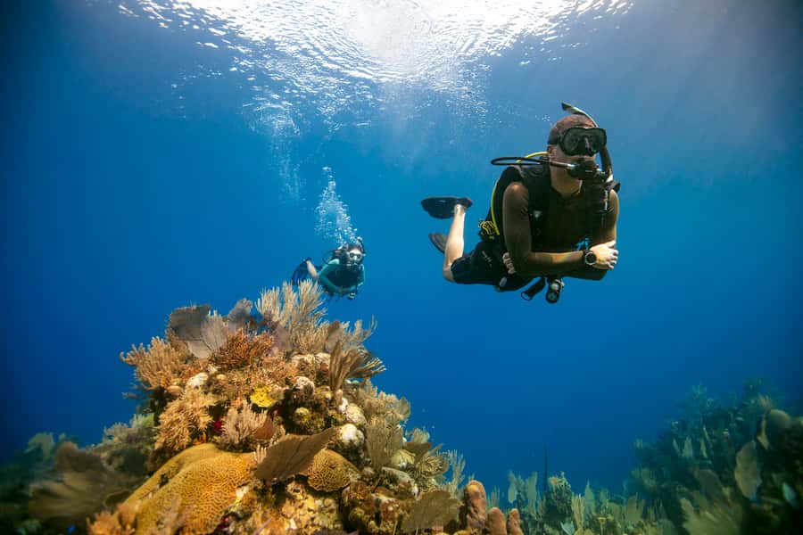Diving Santa Marta & Tayrona for Certified Divers (2 tanks) - Santa Marta to Parque Tayrona: what this day is really for