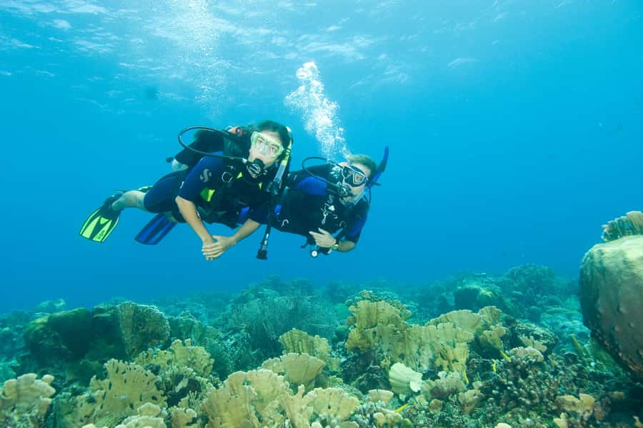 Diving Santa Marta & Tayrona for Certified Divers (2 tanks) - Gear fit and the sizing form you’ll need to send