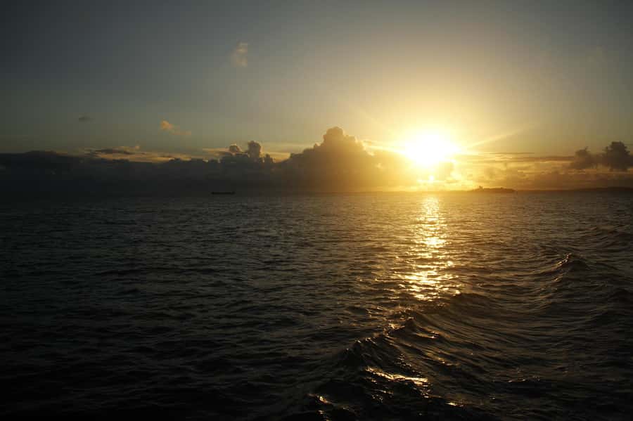 Dos Frades and Itaparica Islands by Schooner - Practical Tips Before You Go (So the Day Flows)