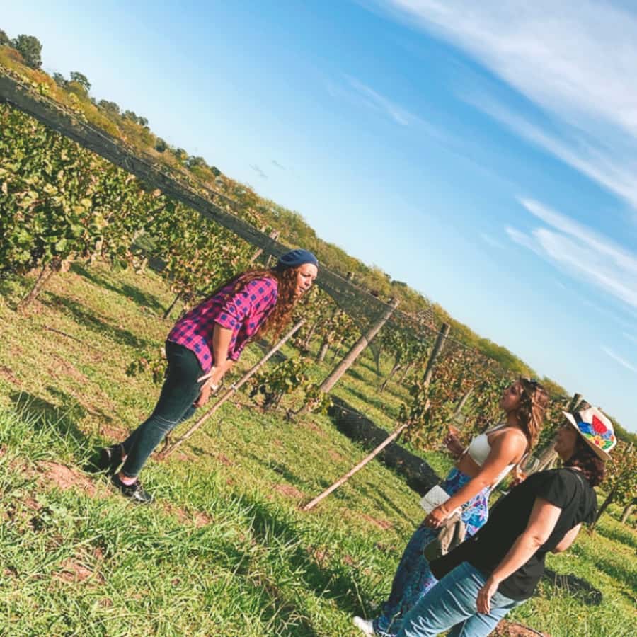 Enjoy a Rural Experience in a Vineyard near Buenos Aires - Key things I’d pencil into your day