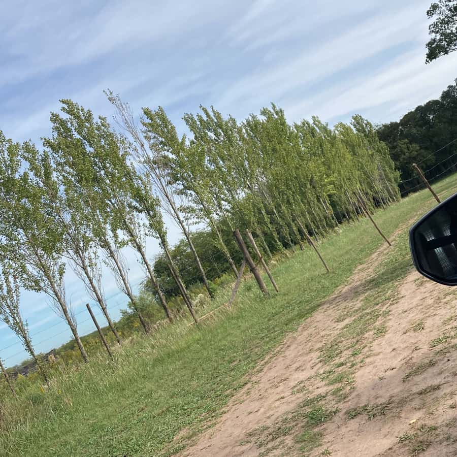 Enjoy a Rural Experience in a Vineyard near Buenos Aires - Practical tips so you enjoy the whole day