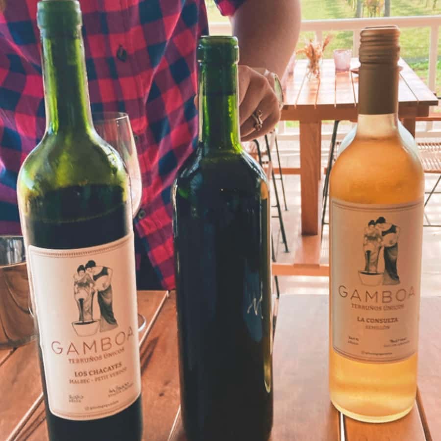 Enjoy a Rural Experience in a Vineyard near Buenos Aires - The guided vineyard tour: where the visit turns into a story