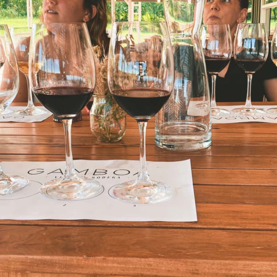 Enjoy a Rural Experience in a Vineyard near Buenos Aires - Wine tasting with food pairings: smarter than a random sip