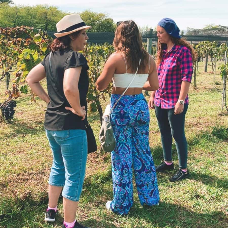 Enjoy a Rural Experience in a Vineyard near Buenos Aires - Lunch at the countryside restaurant: a 4-course meal that actually feels “planned”