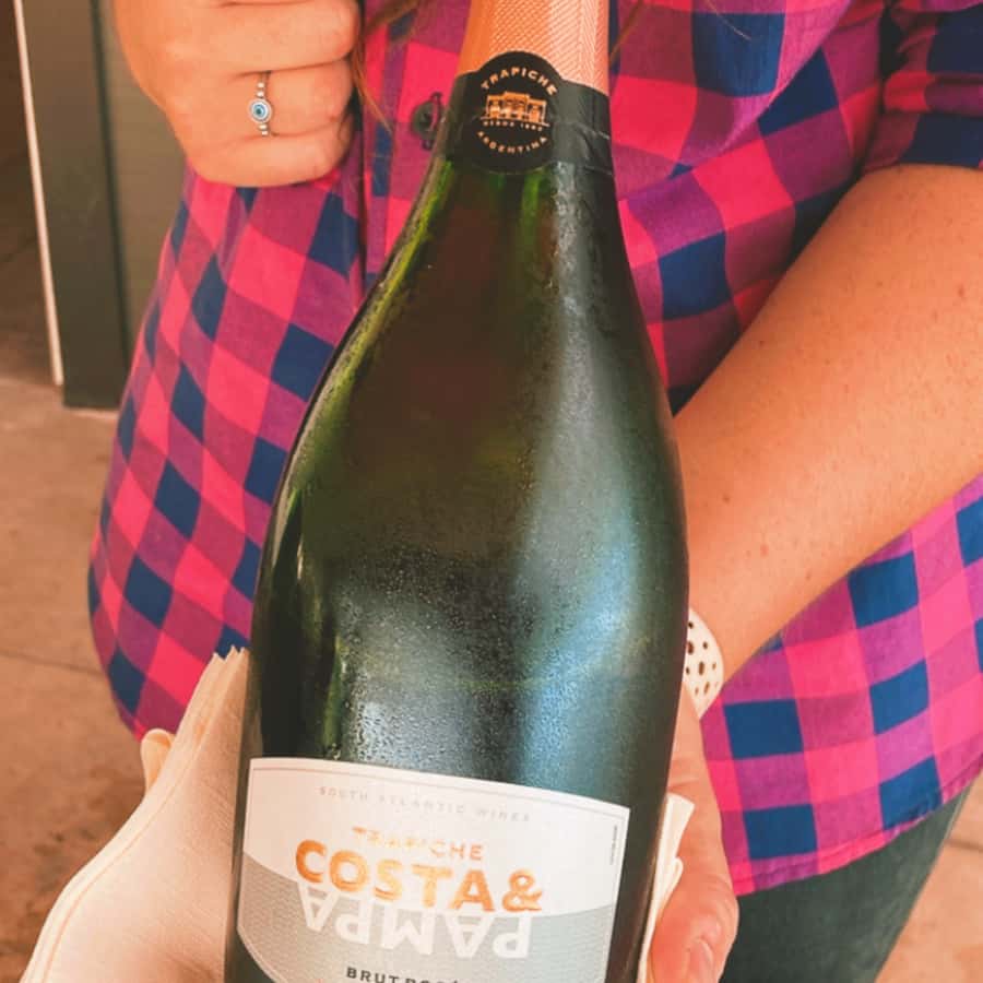 Enjoy a Rural Experience in a Vineyard near Buenos Aires - Timing and total duration: how 6 hours fits a real day in Buenos Aires