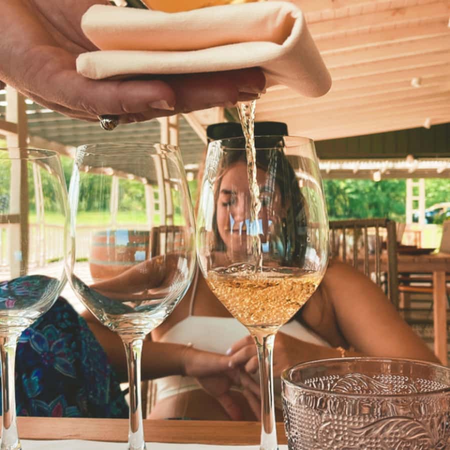 Enjoy a Rural Experience in a Vineyard near Buenos Aires - Price and value: $264 for what’s actually included