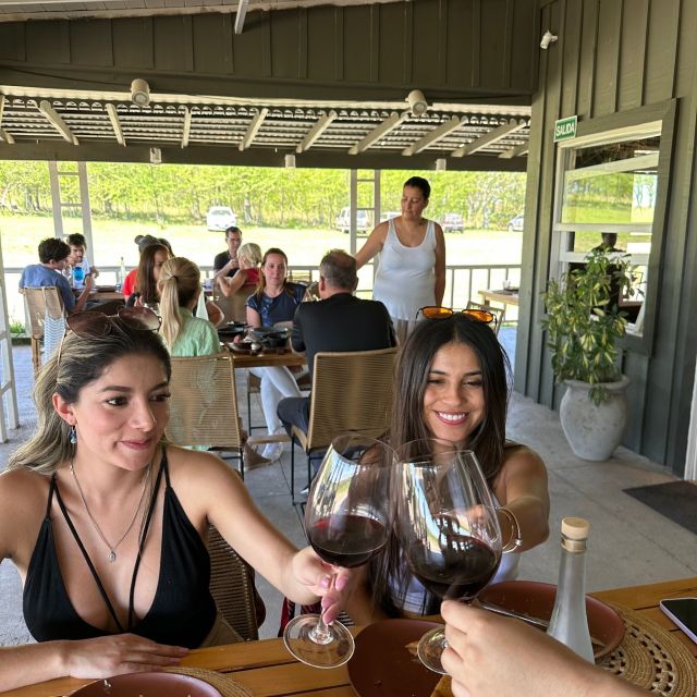 Enjoy a Rural Experience in a Vineyard near Buenos Aires - Who this is best for (and who might want something else)