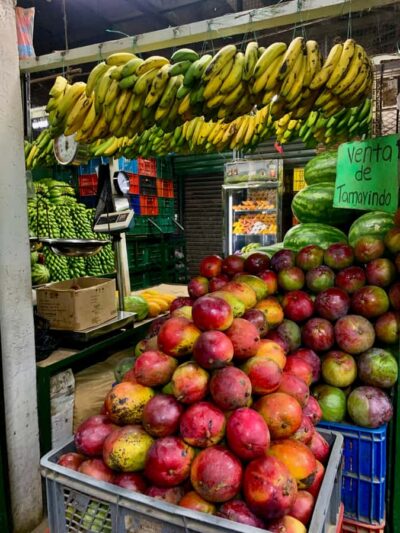 Essential Fruit Experience - Your 60–90 minute route: what happens when