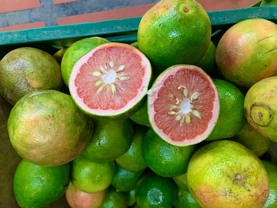 Essential Fruit Experience - Nicole’s style: why the guide quality matters