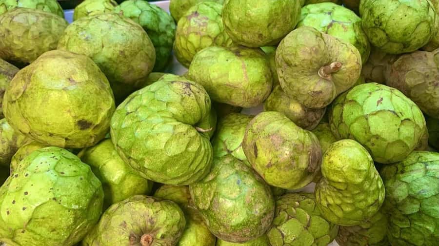 Essential Fruit Experience - Price and value: what you’re paying for and why it’s fair
