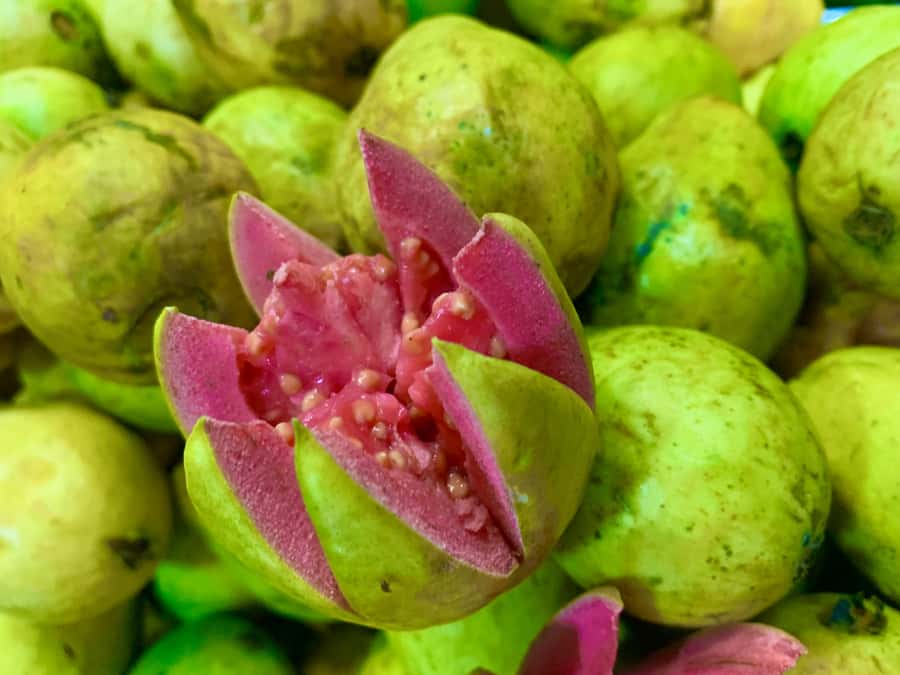 Essential Fruit Experience - What to wear and bring so the tour feels easy