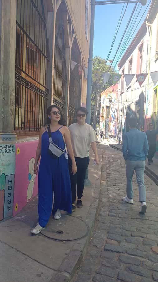 Exclusive Coastal Tour: Valparaíso, Viña del Mar & Reñaca - Valparaíso’s Cerro Alegre y Concepción: murals, cobblestones, and viewpoints