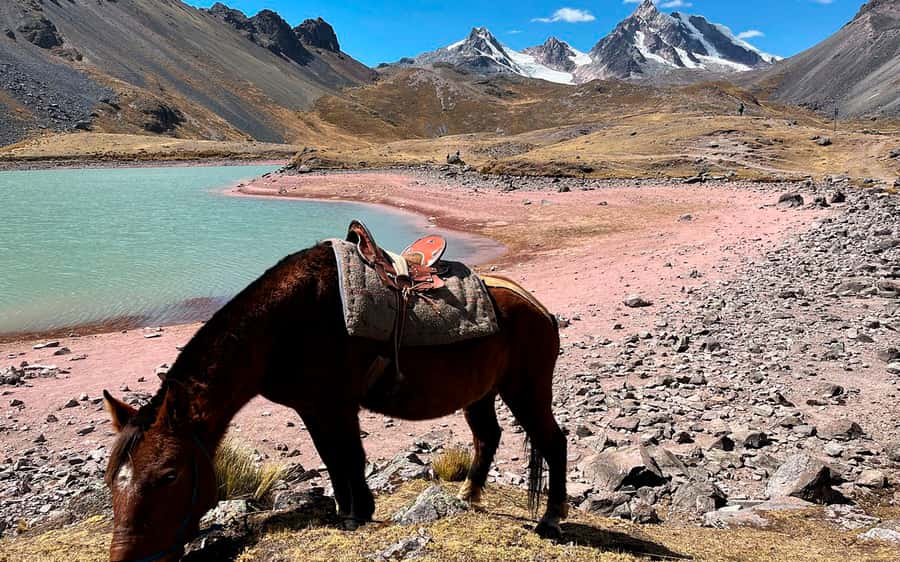Excursion: Explore in one day the 7 lakes of Ausangate from Cusco - Van ride to Pacchanta: comfort matters before altitude hits