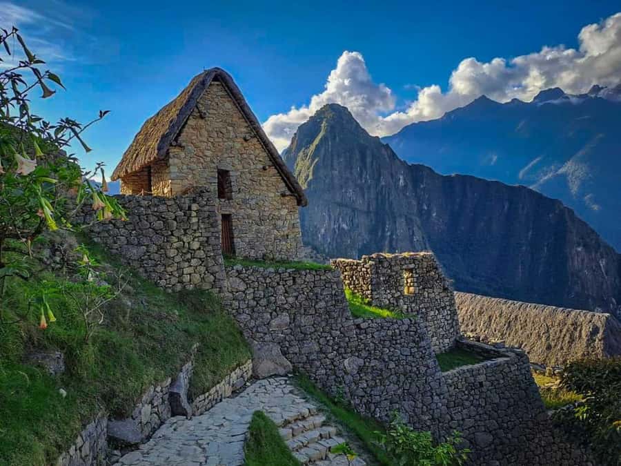 Excursion from Cusco to Machu Picchu + Entrance Tickets Incl - Panoramic train and the logistics of seeing Machu Picchu in one day