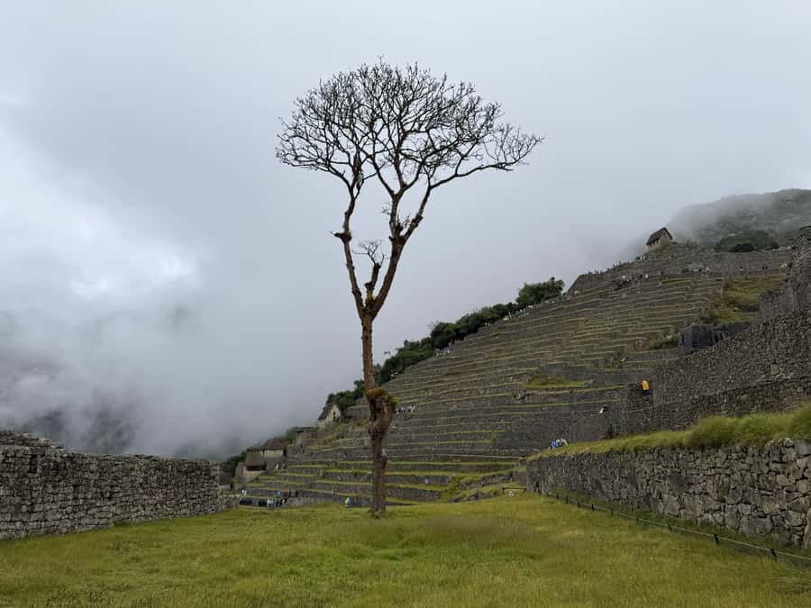 Excursion from Cusco to Machu Picchu + Entrance Tickets Incl - Who this tour fits best (and who should think twice)