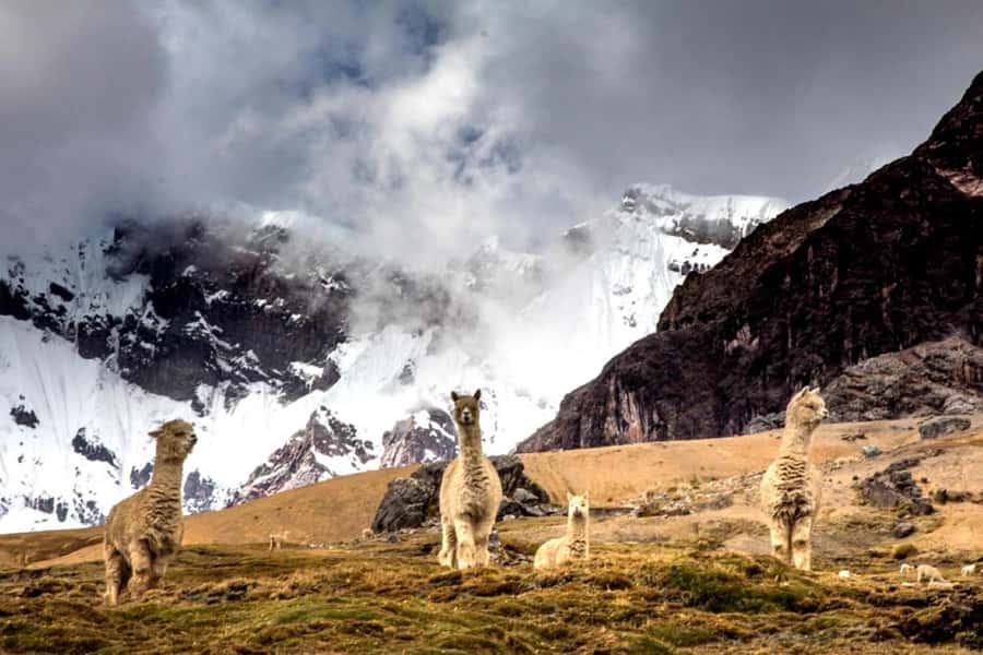Excursion: Rainbow Mountain and Ausangate 7 Lagoons 2 days - Price and Logistics: What $357 Covers (and What You Pay Extra)