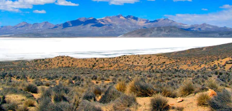 Excursion Salinas Lagoon and National - Key highlights you’ll actually care about