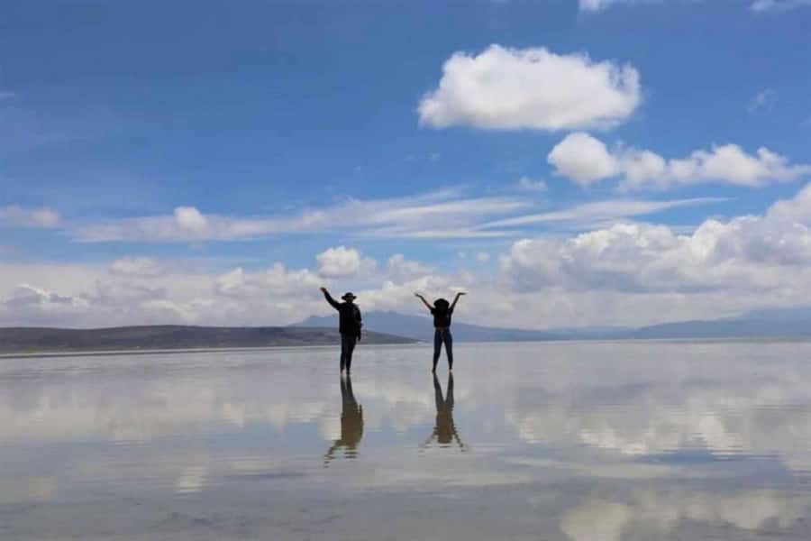 Excursion Salinas Lagoon and National - Why this 6-hour Salinas trip is worth your time from Arequipa