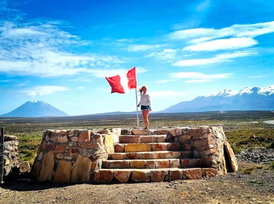 Excursion Salinas Lagoon and National - High Andean Camelid and Bird Reserve: wildlife spotting without the fuss