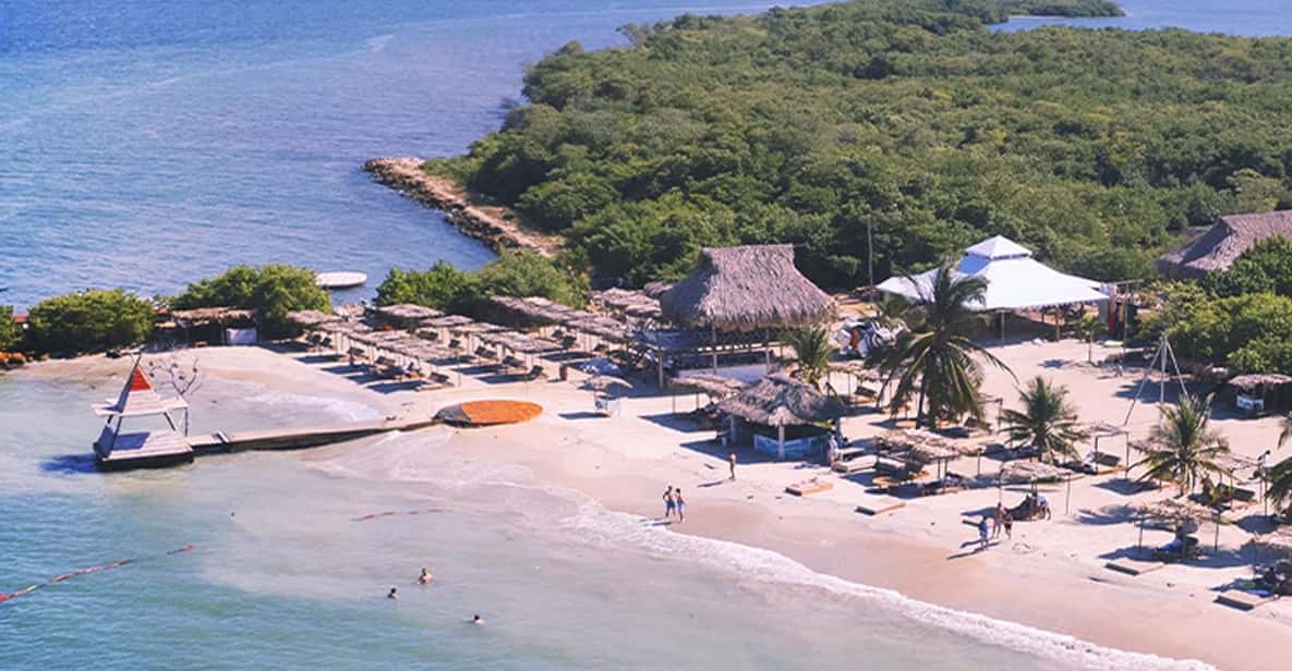 Fenix Beach Island Dinner - Facility Time: Swings, Bar, and the In-Between Moments