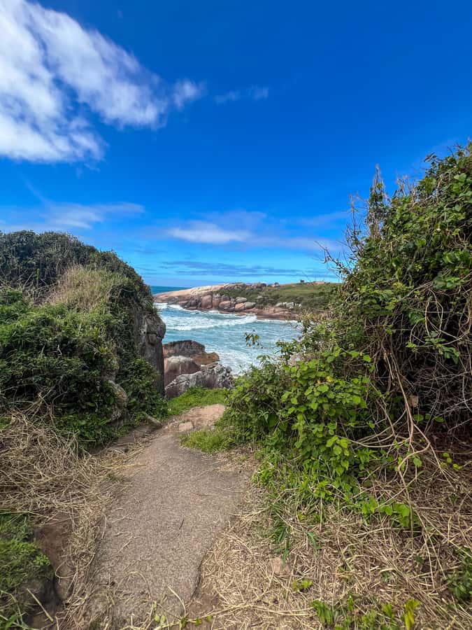 Florianopolis: Gravata Beach Trail with Picnic - Gravata Beach Trail: the 3-hour format that actually works