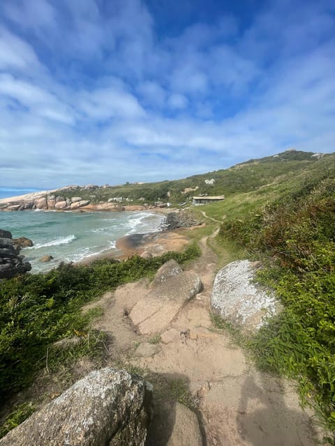 Florianopolis: Gravata Beach Trail with Picnic - Optional cliff hike: panoramic coastline views (and dolphin hopes)