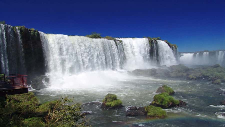 Foz do Iguaçu: Brazilian Side of the Falls + Bird Park - Bird Park: a real break with 500+ birds