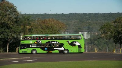 Foz do Iguaçu: Brazilian Side of the Falls + Bird Park - Pickup, quick ticket stop, then Bird Park first