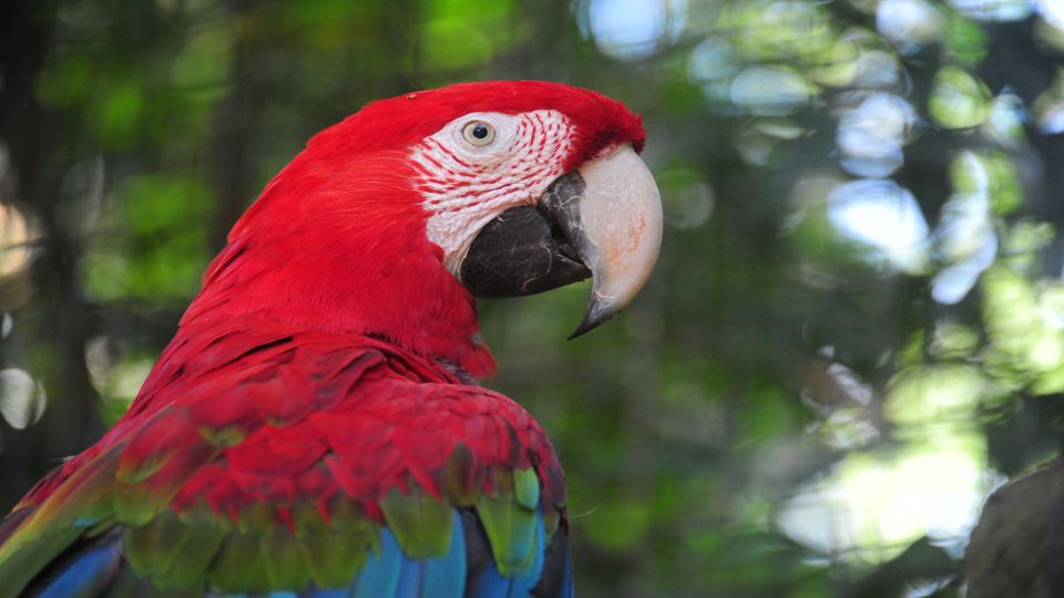Foz do Iguaçu: Brazilian Side of the Falls + Bird Park - Heading into Iguazu National Park from the Brazilian side