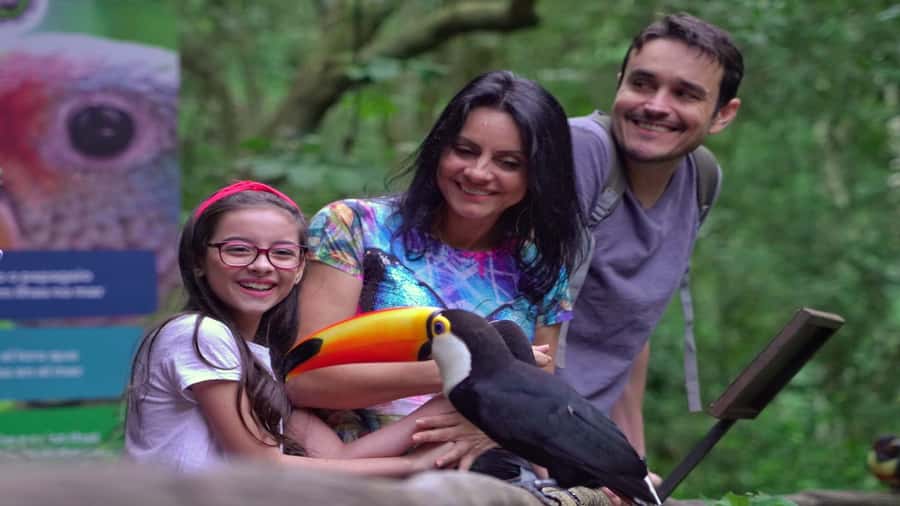 Foz do Iguaçu: Brazilian Side of the Falls + Bird Park - Walking, timing, and what comfortable shoes really means