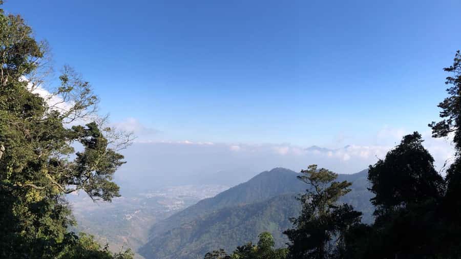 From Antigua Guatemala: Birdwatching and Scenic Hiking Tour - Key Things You’ll Enjoy on the Finca El Pilar Birding Hike