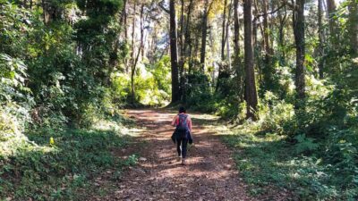 From Antigua Guatemala: Birdwatching and Scenic Hiking Tour - Starting With Birdwatching: What the Guide Helps You Actually Spot