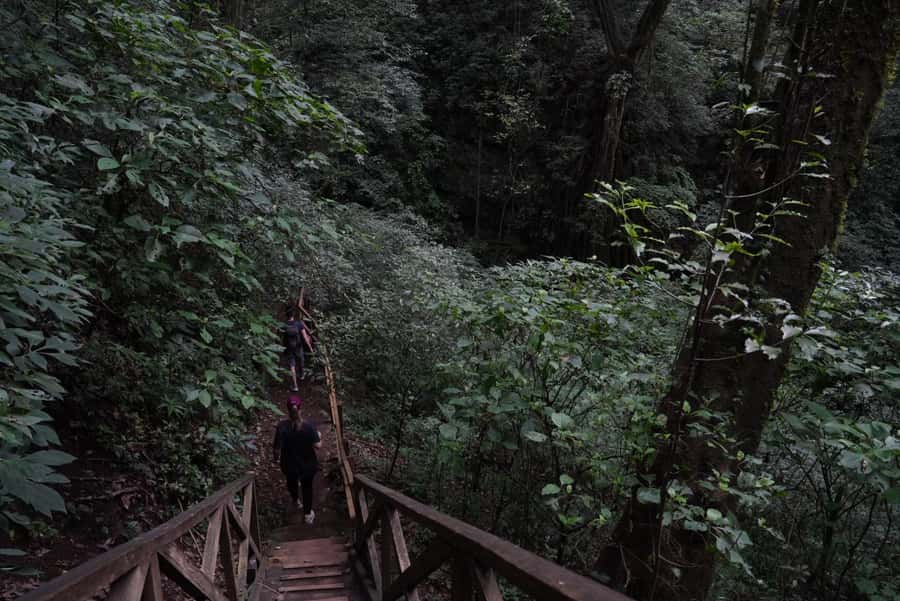 From Antigua Guatemala: Birdwatching and Scenic Hiking Tour - Lower Trails vs. Higher Trails: Where the Best Bird Chances Usually Live