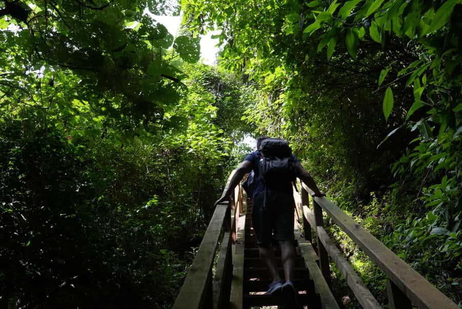 From Antigua Guatemala: Birdwatching and Scenic Hiking Tour - Weather, Wildlife, and the Mosquito Reality