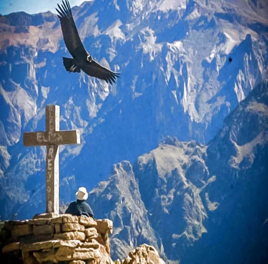 From Arequipa: 2-Day Colca Canyon Tour with Transfer to Puno - Why this Arequipa-to-Puno route feels efficient