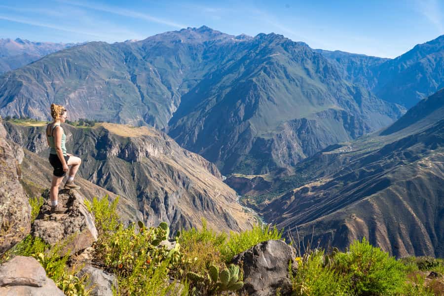 From Arequipa: 2-Day Colca Canyon Trekking Tour - Who Should Book This Colca Canyon Trek (and Who Should Skip It)