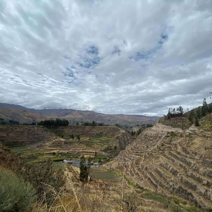 From Arequipa: Colca Canyon & La Calera Thermal Waters - What to Bring (and why it matters today, not later)