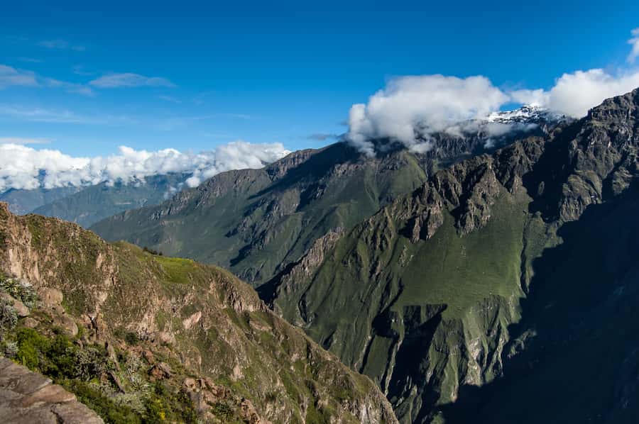 From Arequipa: Colca Canyon & La Calera Thermal Waters - Colca Canyon Viewpoints and the Condor Moment