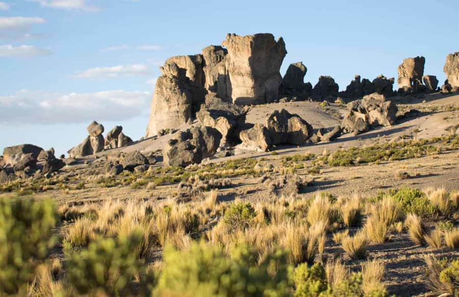 From Arequipa: Pillones Waterfall and Stone Forest Day Trip - Morning start: Pampa de Arrieros and the road toward the reserve